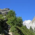 ...und gleichzeitig die Seitenmoräne des Glacier de Saleina