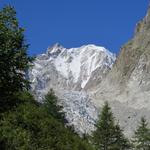 was für eine Aussicht! Direkt vor uns taucht die Aiguille d'Argentière auf