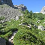 über einen nun wieder einfachen Wanderweg, steigt man ohne Schwierigkeiten...