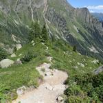 auf der alten Seitenmoräne des Glacier de Saleina...