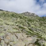 über gletschergeschliffene Felsen wandern wir über Punkt 2497 m.ü.M.  weiter aufwärts