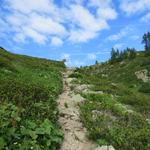 nach ein paar Minuten biegt der Wanderweg von der unter uns liegenden Strasse ab...