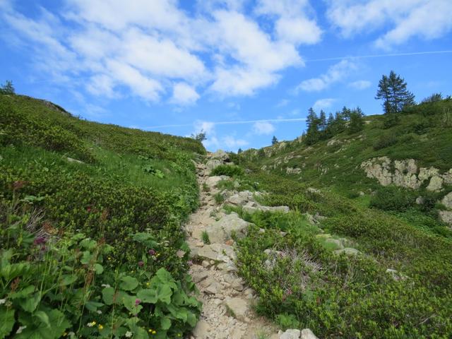 nach ein paar Minuten biegt der Wanderweg von der unter uns liegenden Strasse ab...