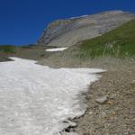 über Schotter und Altschneefelder, erreichen wir danach den Col du Vieux