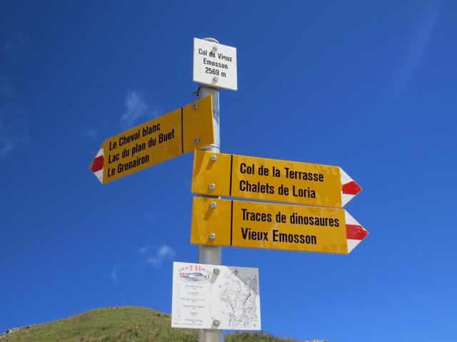Wegweiser auf dem Col du Vieux 2569 m.ü.M. Schweiz - Französische Grenze