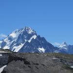 Blick zur riesigen Aiguille du Chardonnet und Aiguille de Triolet