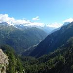 Blick ins Tal das nach Chamonix führt