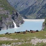 über viele Kilometer wird das Wasser über Stollen, zum Stausee geleitet. Bei diesem z.B. vom Petit Combin