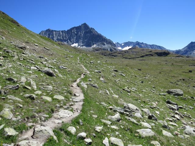 direkt vor uns, zeigt sich die fast senkrechte riesige Felswand des Pointe d'Otemma