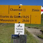 Wegweiser beim Col de Tsofeiret 2635 m.ü.M.
