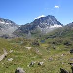 bei der Höckerlandschaft von Tse des Violettes 2520 m.ü.M., im Hintergrund der Mont Gelé