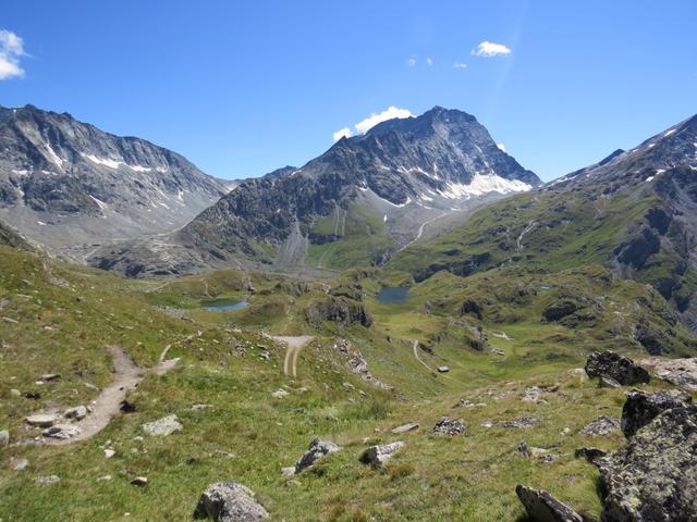 bei der Höckerlandschaft von Tse des Violettes 2520 m.ü.M., im Hintergrund der Mont Gelé