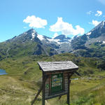 Aussicht von der Cabane aus gesehen: Bec du d'Epicoune und Chardoney, Mont Gelé, Fenêtre de Durand, Mont Avril und Grand Combi