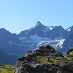 Blick hinüber auf die andere Talseite zum Bec d'Epicoune, mit dem gleichnamigen Gletscher