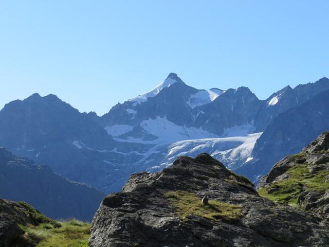 Blick hinüber auf die andere Talseite zum Bec d'Epicoune, mit dem gleichnamigen Gletscher