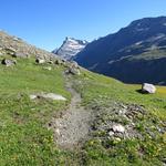 kurz vor der riesigen Moräne wandern wir über grüne Matten