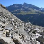 wir verlassen die Gletscherzunge und die gewaltige Schuttlandschaft des Glacier de la Tsessette