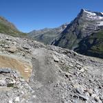 unser Pfad kreuzt hin und wieder einen Bach 2370 m.ü.M....