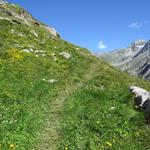 die Schlüsselstelle liegt nun hinter uns. Der Wanderweg ist nun wieder normal begehbar