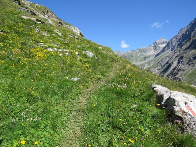 die Schlüsselstelle liegt nun hinter uns. Der Wanderweg ist nun wieder normal begehbar