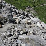 wir wandern geradeaus weiter Richtung Col des Otanes