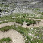 kehrenreich windet sich der Bergweg nun in die Tiefe