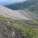 kurz nach La Tsessette erreichen wir wieder die grosse Seitenmoräne des Glacier de Corbassière