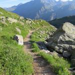 die Tour de Combin führt uns nun auf einem reizvollen Höhenweg zur Cabane Brunet