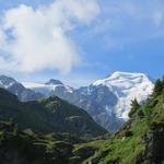 Blick hinauf zum Petit Combin