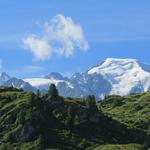 was für eine Aussicht! Combin de Corbassière, Glacier des Follâts und Petit Combin