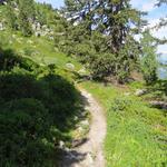 ...umwandern wir nun die Nordseite des Mont Rogneux