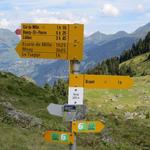 wir erreichen den Alpkessel von Servay und passieren die zugehörigen Alphütten 2074 m.ü.M.