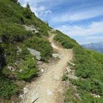 kurz nach dem See, bei der Weggabelung Punkt 2087 m.ü.M., bleiben wir auf dem Wanderweg und biegen nicht rechts ab