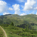 schönes Breitbildfoto mit Blick hinauf zum Col de Mille