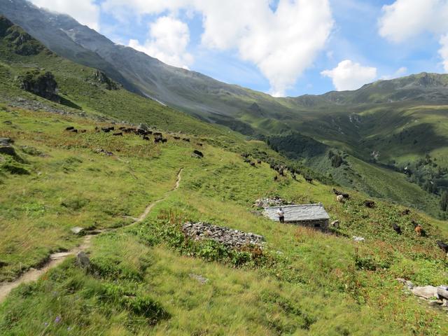 der Weg schneidet nun nahezu horizontal einen Hangrücken und verlässt den grossen Alpkessel von Servay