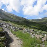 unser Wanderweg quert dannach einige alte...