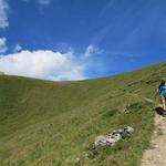 Blick zurück zum Col de Mille mit der Cabane de Mille