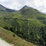 auf gleichbleibender Höhe durchlaufen wir die Weggabelung bei La Chaux 2152 m.ü.M. überqueren über eine Brücke 2211 m.ü.M.