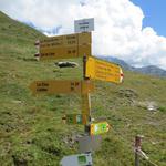 ...den Wildbach Torrent de Palasuit, und erreichen danach die aussichtsreich gelegene Alp Le Coeur 2233 m.ü.M.
