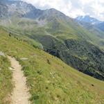 gut ersichtlich unser weiterer Wegverlauf der in grossen Kehren ins Val d'Entremont und Bourg St.Pierre hinunterführt