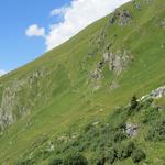 Blick hinauf zum steilen Wiesenhang von Toules, den wir noch vor kurzem überquert haben