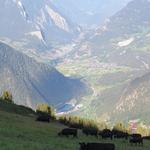 Blick ins Val de Bagnes, Val d'Entremont und Sembrancher. Dort sind wir durchgelaufen als wir auf der Via Francigena waren