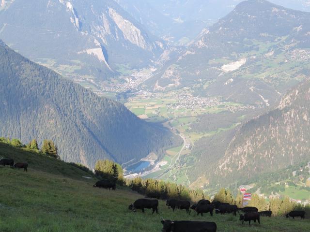 Blick ins Val de Bagnes, Val d'Entremont und Sembrancher. Dort sind wir durchgelaufen als wir auf der Via Francigena waren