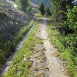 der Weg folgt minimal ansteigend der Bisse (Suone) du Levron