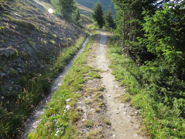 der Weg folgt minimal ansteigend der Bisse (Suone) du Levron