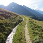 auf gleichbleibender Höhe, laufen wir - immer noch von der Bisse du Levron begleitet - weiter geradeaus