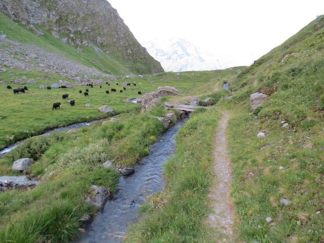 der Wanderweg umgeht ein Hügel 2310 m.ü.M. mittels einem Rechtsbogen...