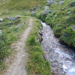 in diesem Kessel unter der Cabane du Mont Fort beginnt die Bisse de Levron, die im frühen Mittelalter erbaut wurde