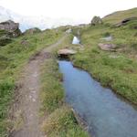 sie wurde teilweise restauriert und verspricht eine interessante Wanderung. Wir folgen der schönen Suone bis kurz vor La Chaux.