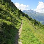 bei Punkt 2113 m.ü.M. erreichen wir nicht nur ein markantes Eck auf einem Ausläufer des Bec des Rosses,...